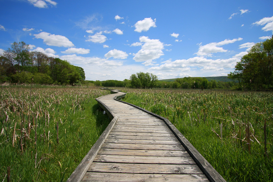 pochuck boardwalk AT